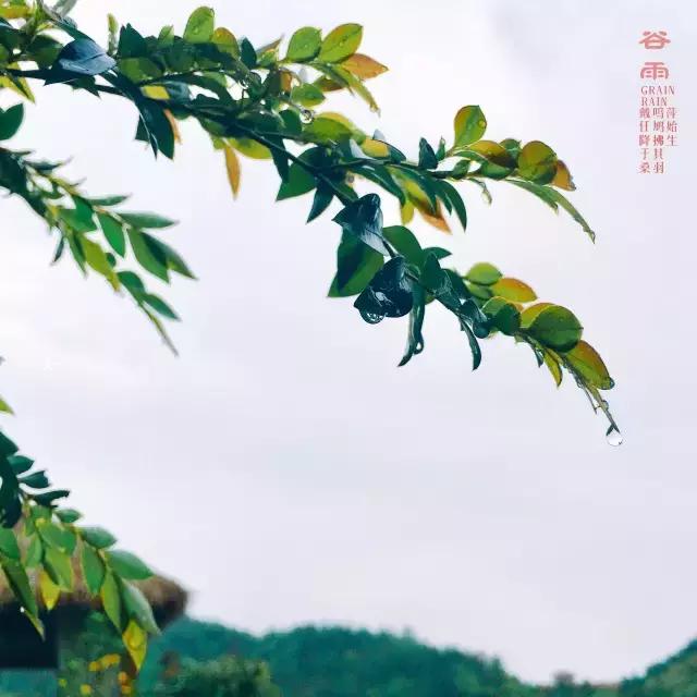 核心价值观57期,核心价值观之爱国敬业诚信友善