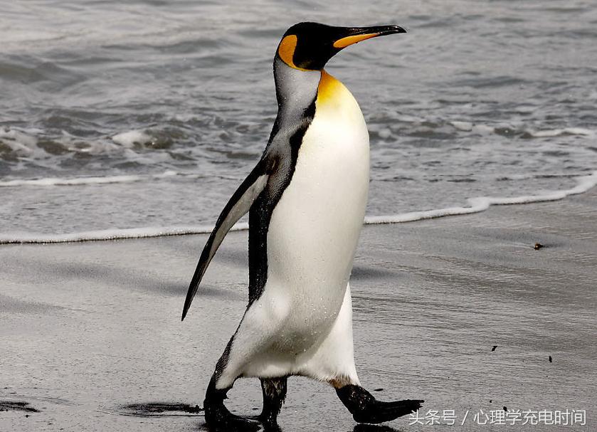 自卑到骨子里的男孩怎么克服,如何克服内心的自卑
