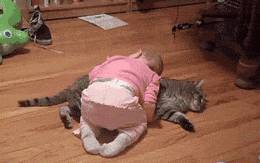 狗狗治疗抑郁症,可以治疗抑郁症的狗狗叫什么犬