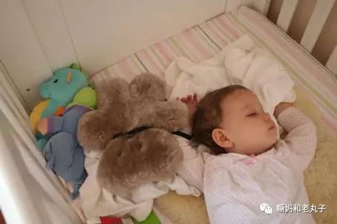 钱会花光人会散它萌不会离开你