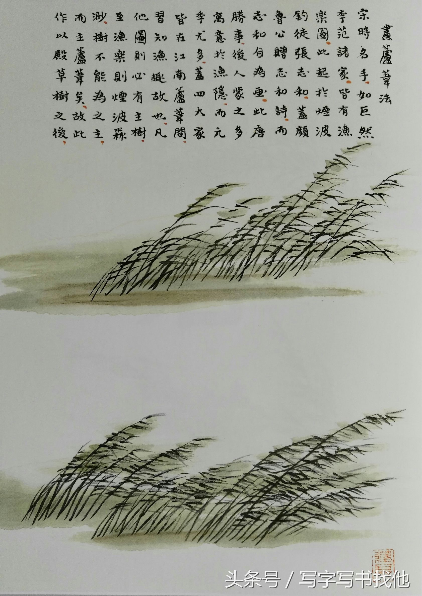 大写意花鸟画技法视频芭蕉,中国画大写意芭蕉叶画法