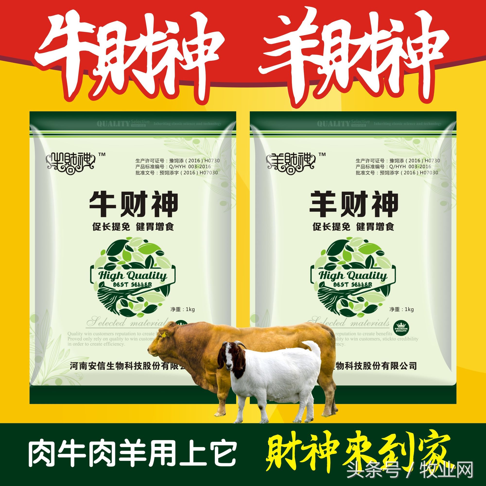 牛羊病诊断及治疗书籍,牛羊病诊断技术学习