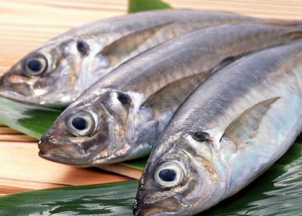 怀孕后多喝什么水好,怀孕后多吃什么鱼