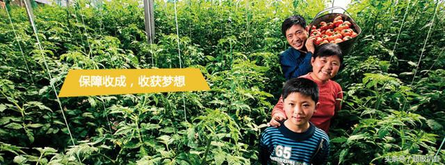 德国拜耳著名产品,德国拜耳药物