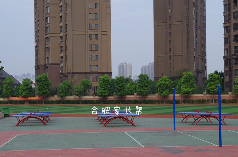 合肥市45中橡树湾校区独立招生,合肥45中橡树湾校区地图