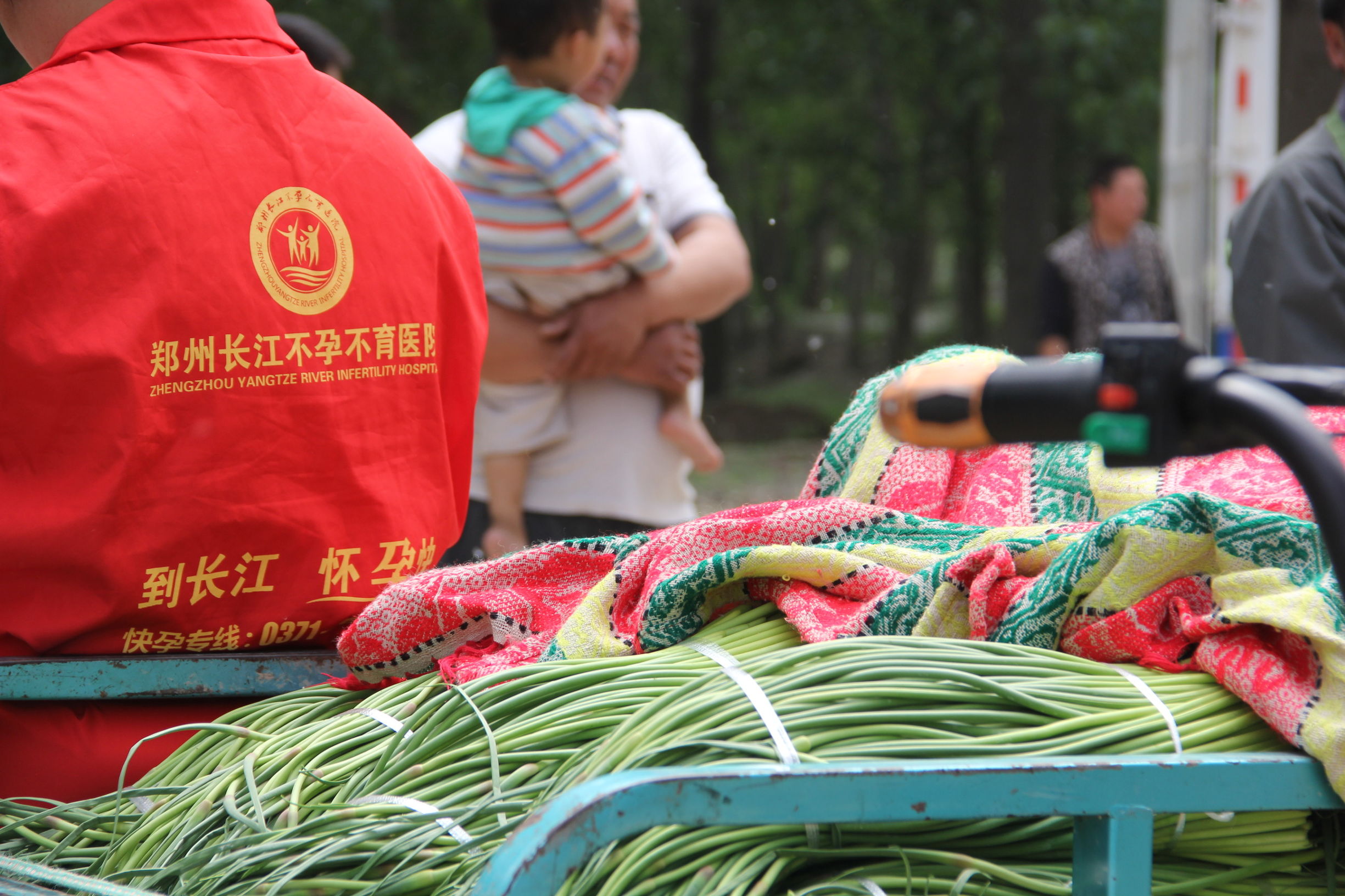 河南蒜薹最新消息,河南蒜薹滞销