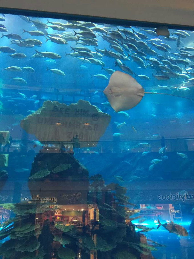 一个人穷游中国迪拜游记,迪拜穷游自由行攻略