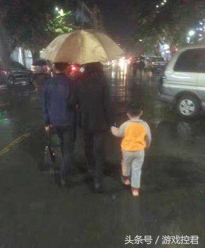 囧吐槽：撸猫影响学习，还是撸狗吧