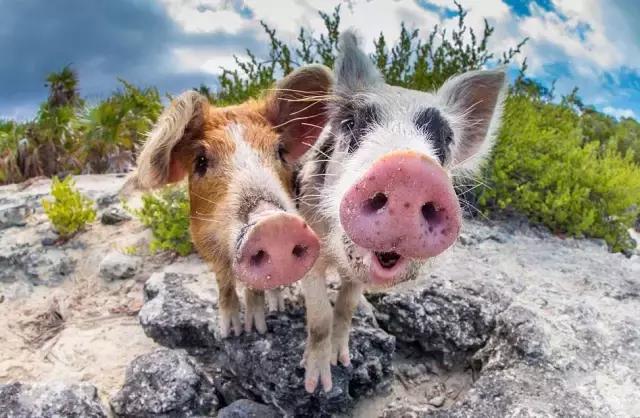 比马尔代夫便宜的小众海岛,马尔代夫免签好去处