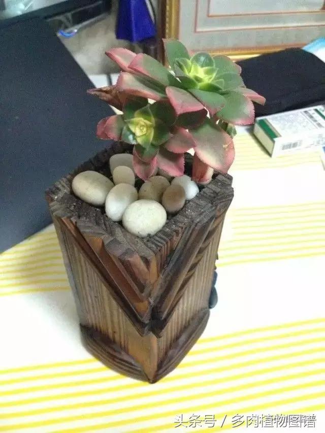 入坑半年的经历,入坑五个月总结