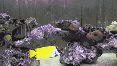 藏得如此之深の匠心小店，我一个月只能来一次每逢周3半价