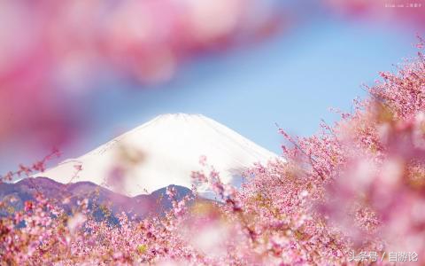 不用签证就可以去旅游,不用签证可以直接出国吗