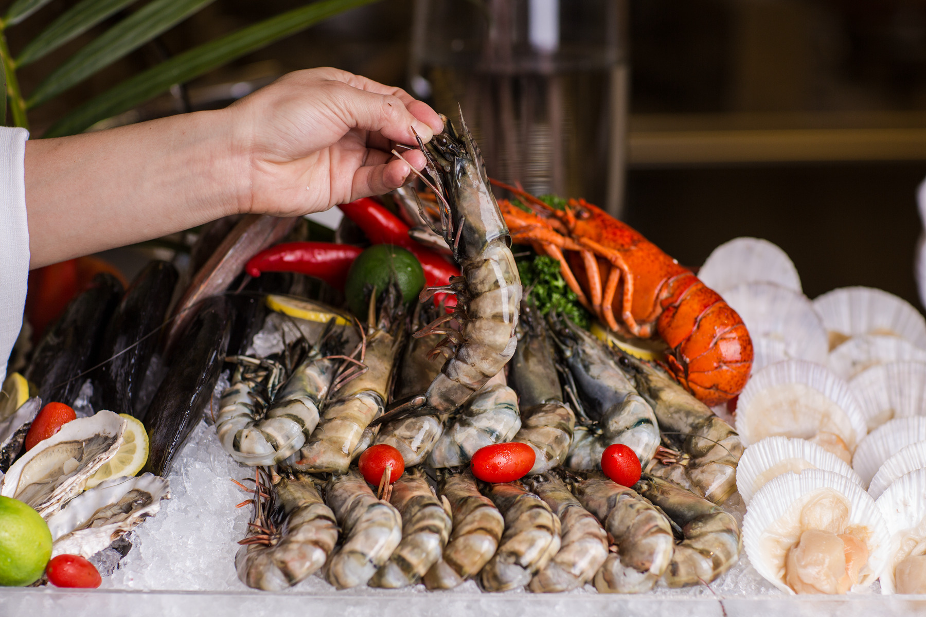 去三亚玩的旅游攻略,错峰去三亚