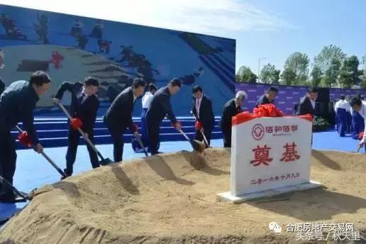 巢湖环湖大道景点,环湖大道巢湖全段