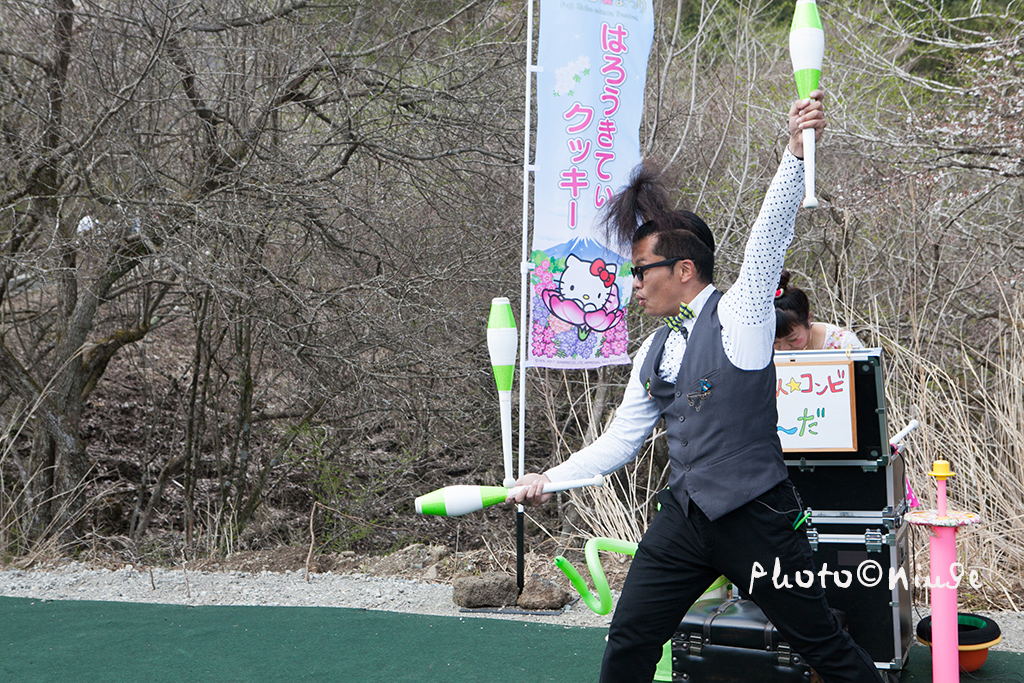 澳门航空空姐游东京 富士山下遇见最美的樱花