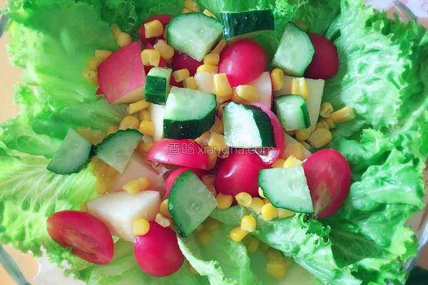 减肥的蔬菜沙拉有哪些,推荐6种美容又减肥的沙拉