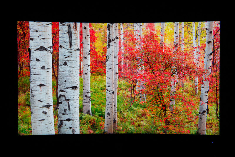 hkcg4plus显示器花屏,hkc的g40显示器评测