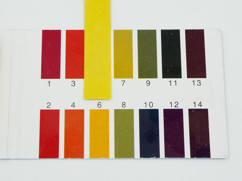 ve面霜范冰冰使用说明,范冰冰到澳洲必买的神奇ve面霜