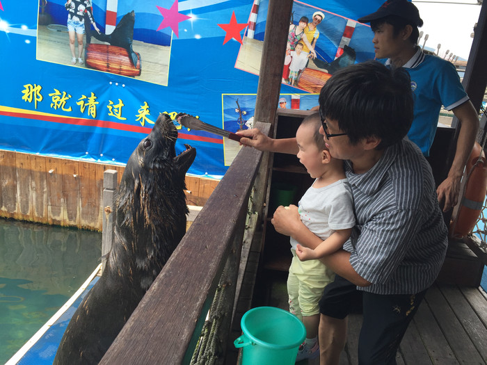 心向远方勇闯天涯,心向远方越野