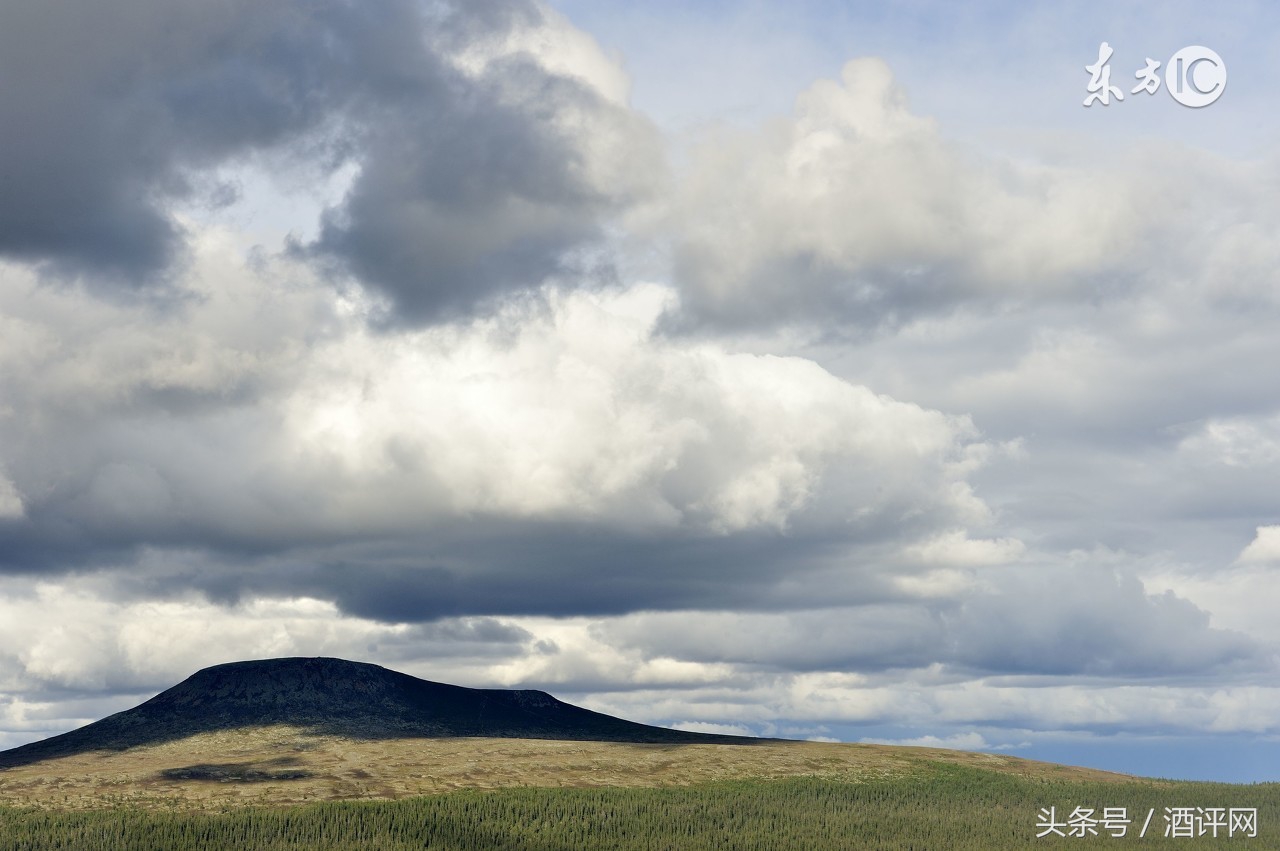 怎么判断酒瘾的标准,如何判断自己是否有酒瘾