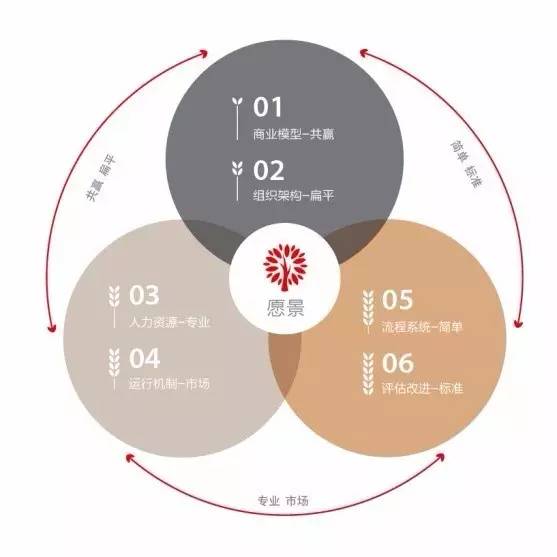 安邦财险集团,安邦保险发展之路