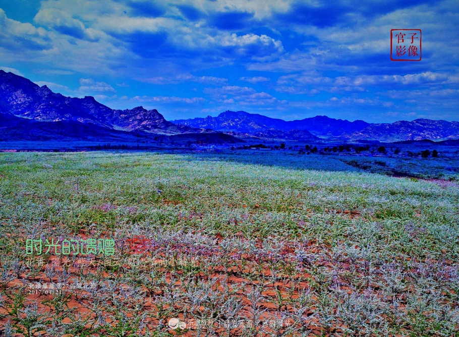 闾山四月梨花似海，源于大朝阳梨花老祖