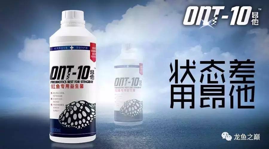 3000字长文，听李佳良聊杭州玛豆的五年弯路感悟