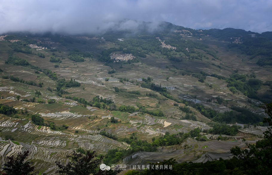 元阳梯田十二庄园香典民宿,元阳梯田世外桃源