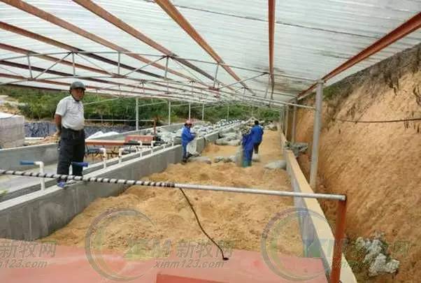 猪场粪污发酵系统,养猪场粪污发酵处理设备