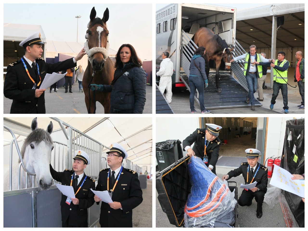 宝马最近有什么消息,宝马来了最新视频