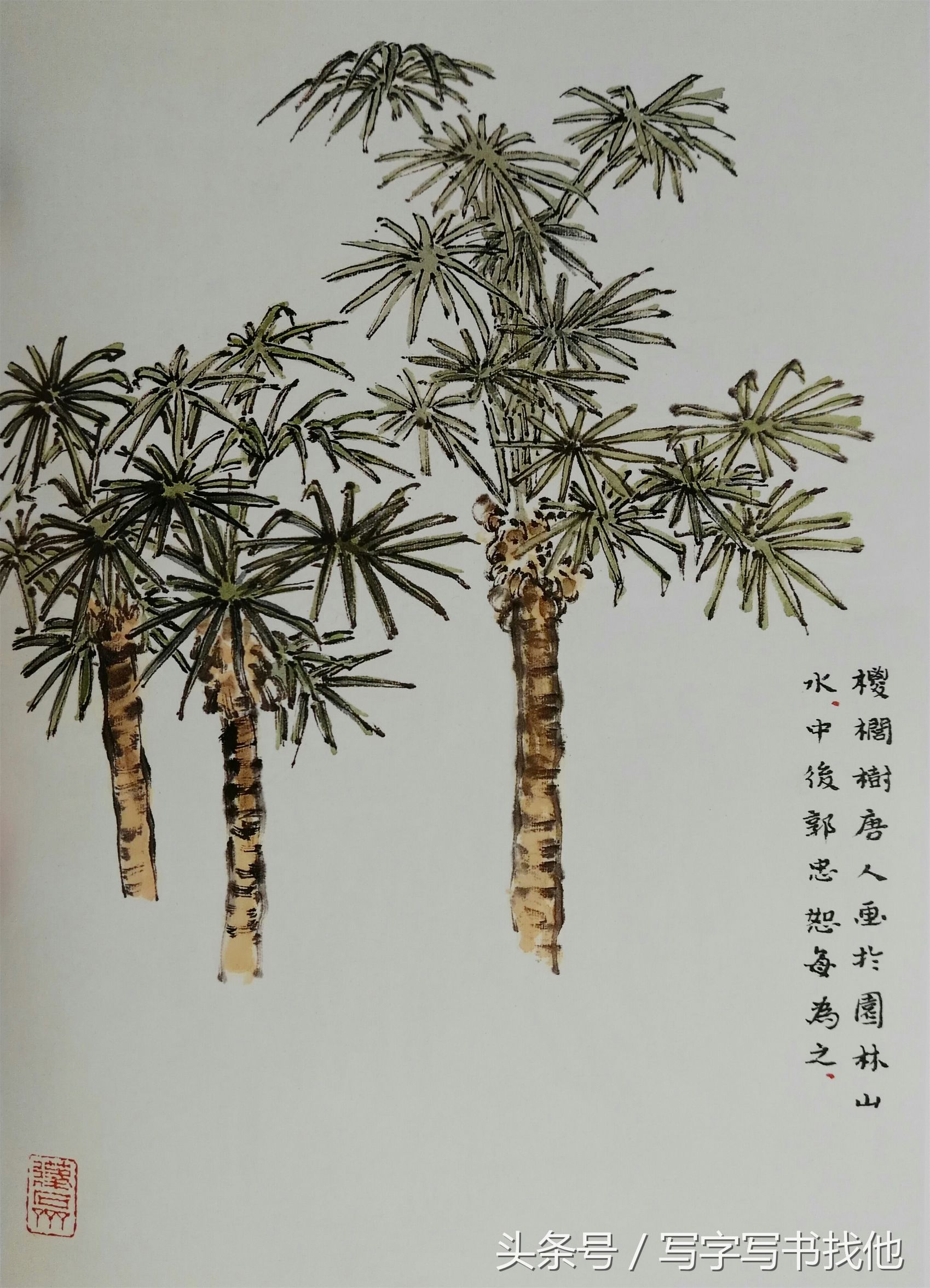 大写意花鸟画技法视频芭蕉,中国画大写意芭蕉叶画法