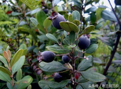 2017年靠谱赚钱方法,2017年该怎么赚钱