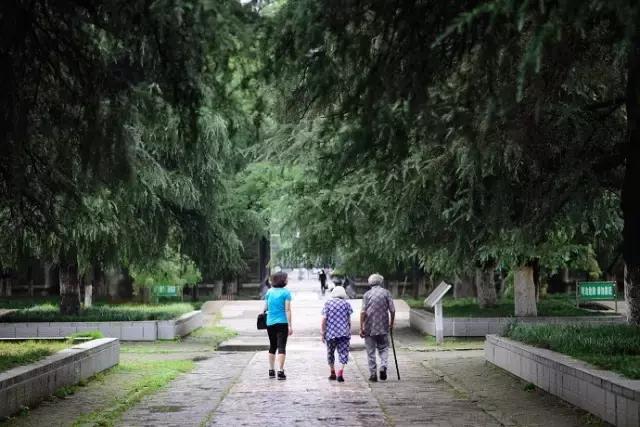 不花一分钱游遍美景,不花一分钱游遍全世界