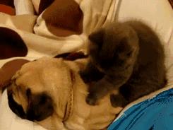 妹子被小龙虾夹,妹子被螃蟹夹了