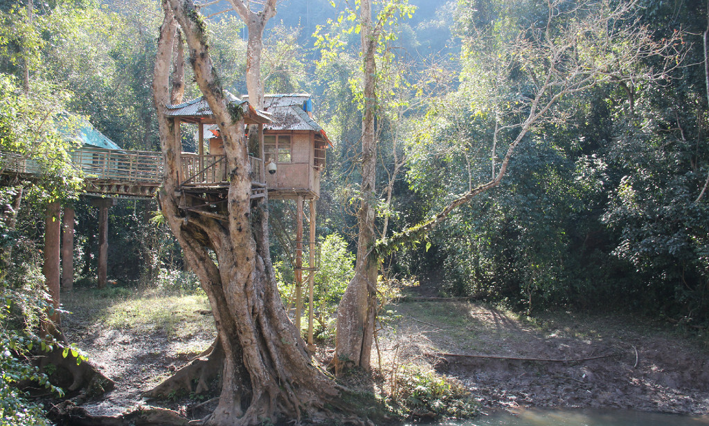 西双版纳绿色美景视频,云南西双版纳美景高清图片