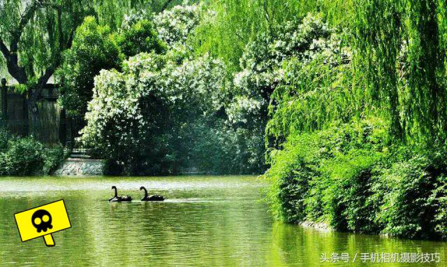 为什么你拍出来的照片很不好看,为什么拍出来的照片反过来就难看