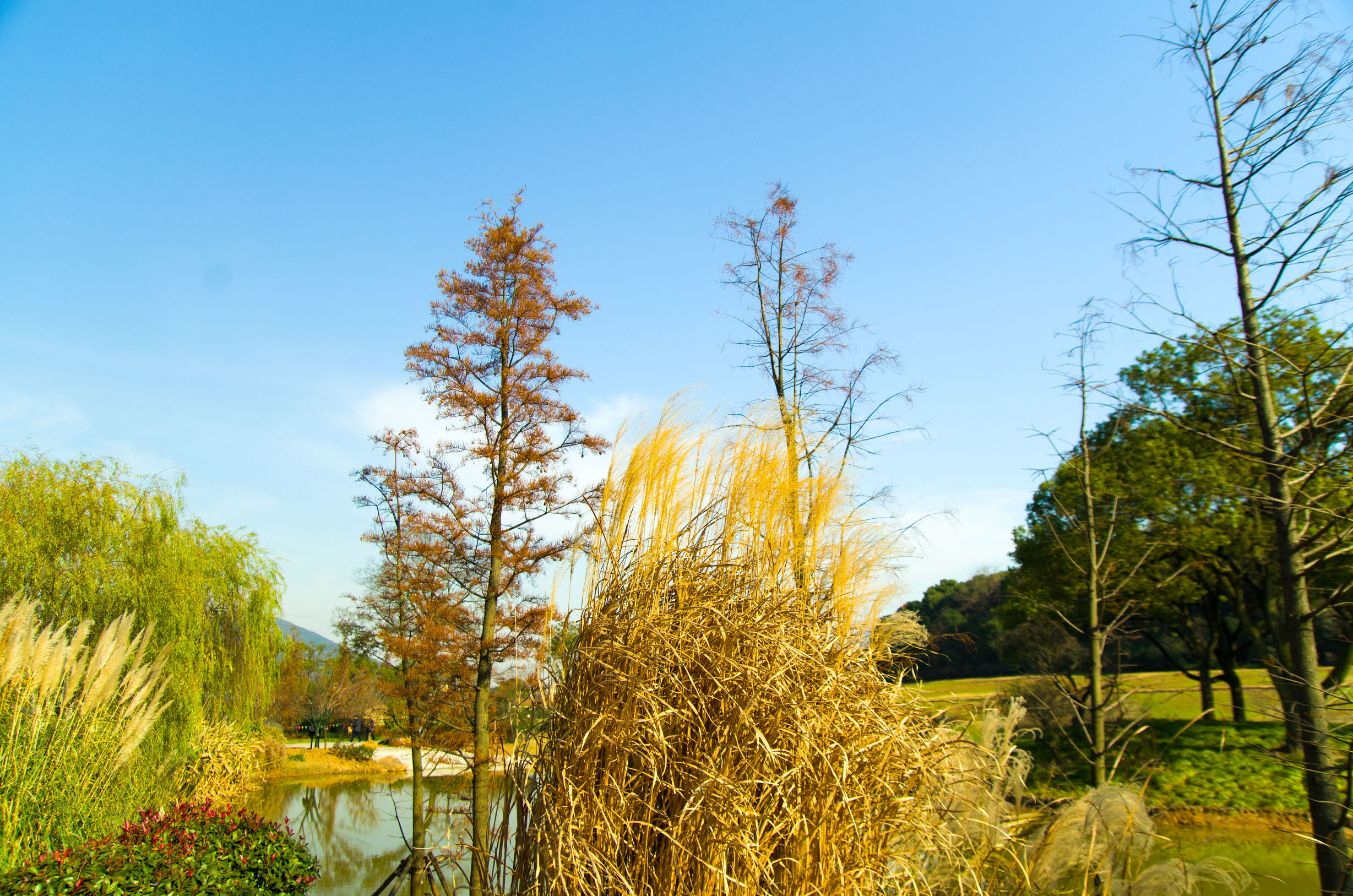 摄影小白推荐相机300左右,拍照好的长焦镜头推荐