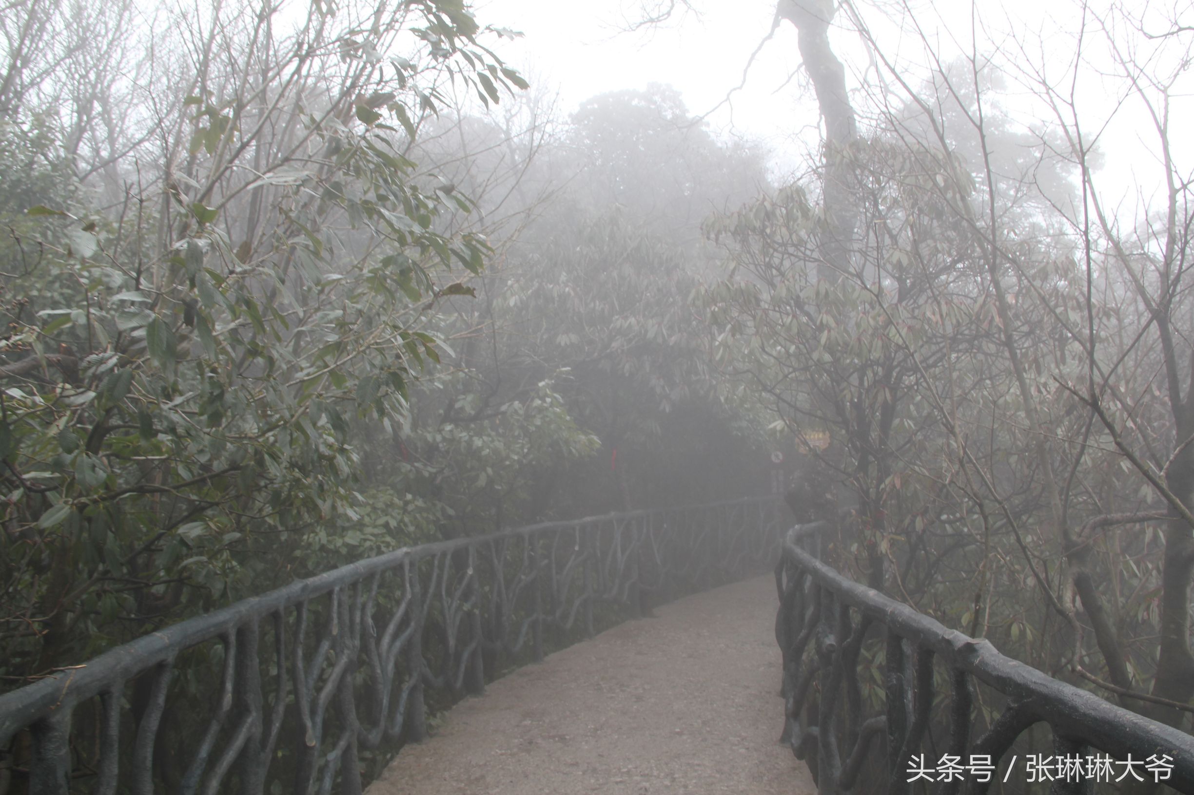 北京姑娘徒步完整视频,北京姑娘旅行