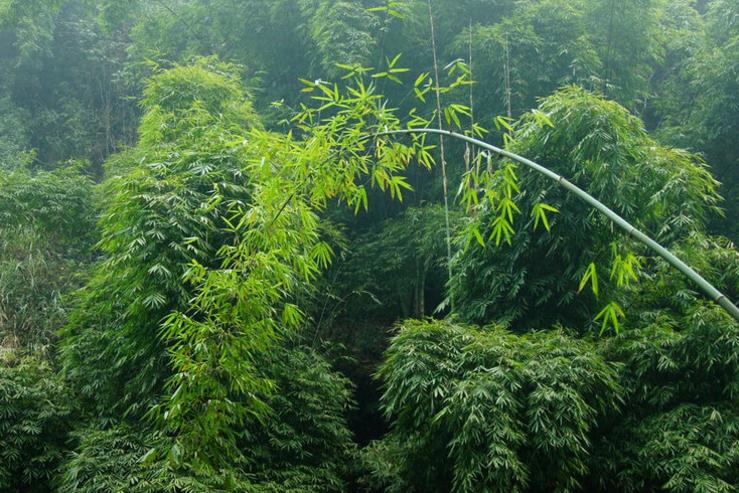 最美318之川西之行,318国道最美隧道