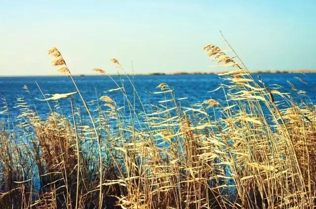 上海周边的绝美海岛,上海附近绝美海岛