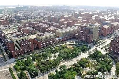 滨海新区最近几年的变化,今天滨海新区最新状况