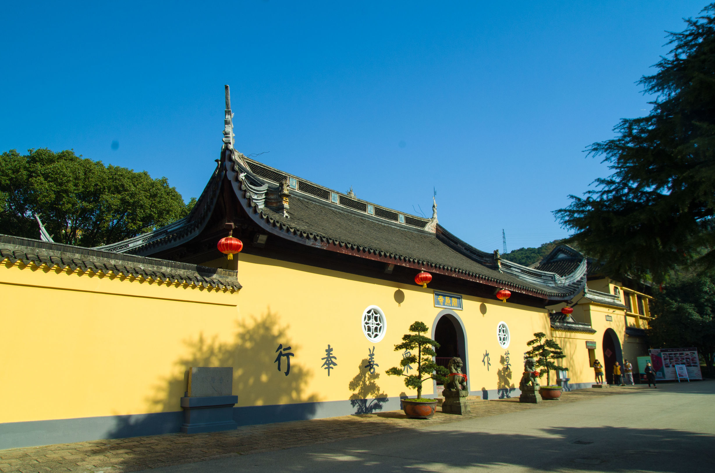 摄影小白推荐相机300左右,拍照好的长焦镜头推荐