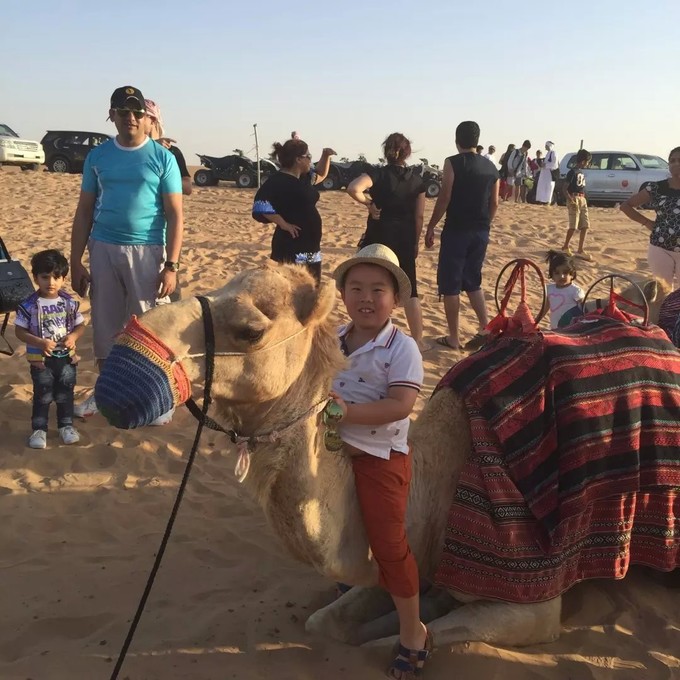 一个人穷游中国迪拜游记,迪拜穷游自由行攻略