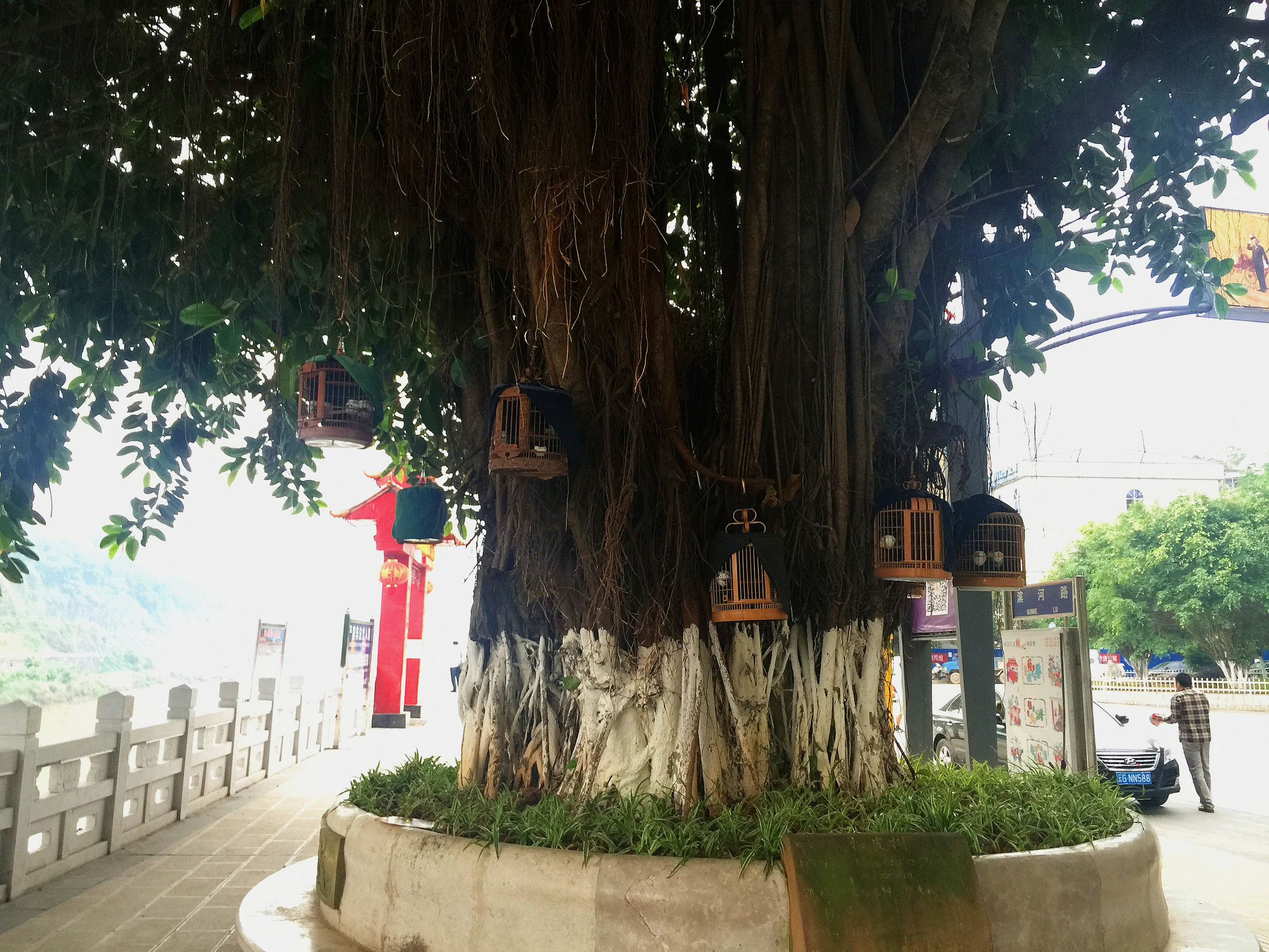 中越边境哪里最值得去,云南边境河口口岸游玩攻略