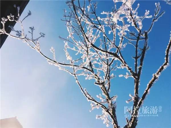 热气缭绕的温泉旅行,夏日温泉旅游推荐