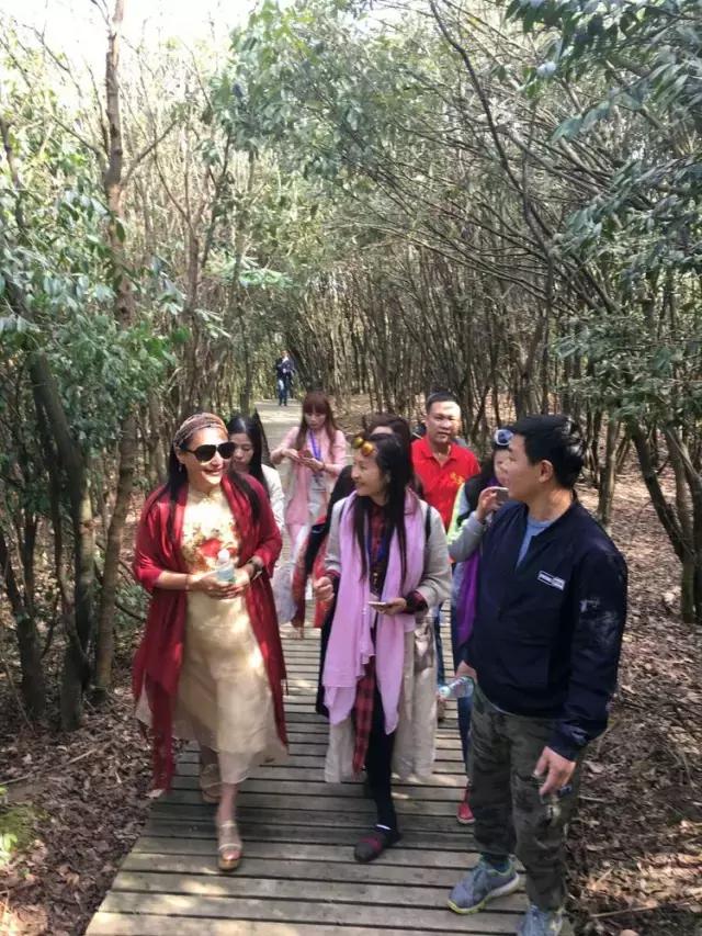 赞美石柱的古诗,诗词记忆方法