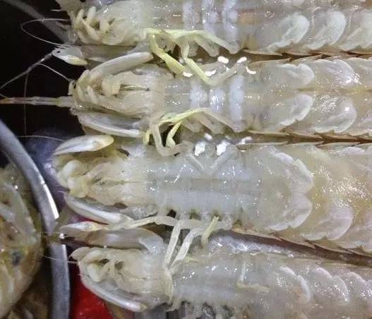 吃的真相｜是膏不是胶！皮皮虾，这锅我们不背！