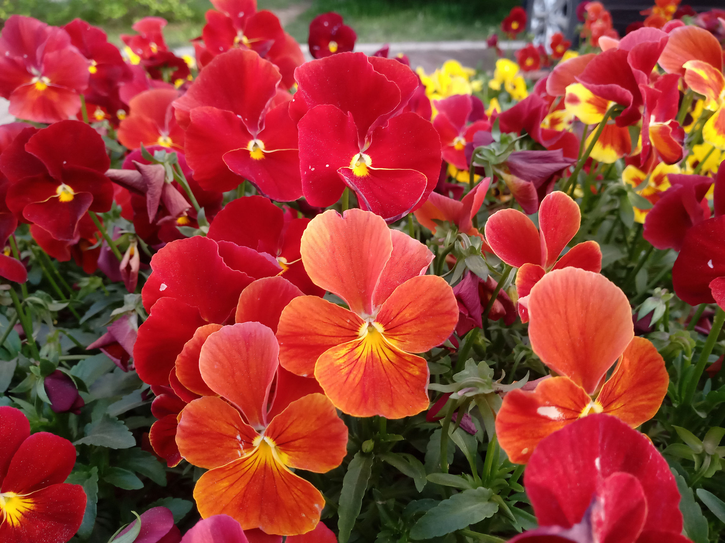 国美k1支持虹膜识别,国美k1支持虹膜解锁吗