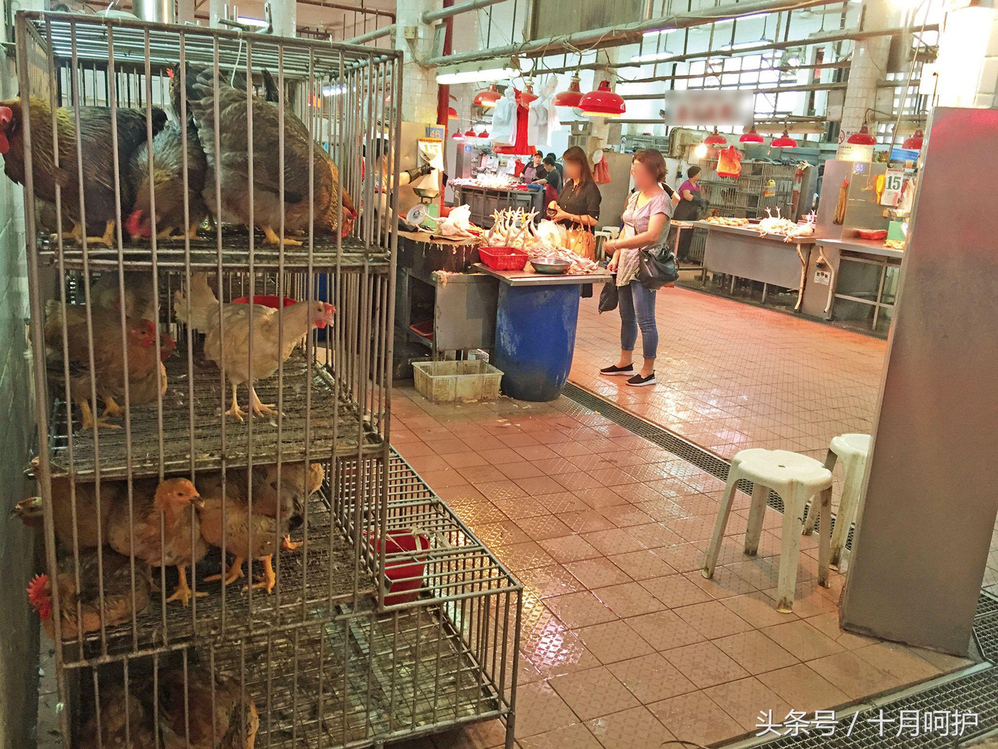 因疫情孕妇胎儿死亡是怎么处理的,新冠肺炎死亡孕妇