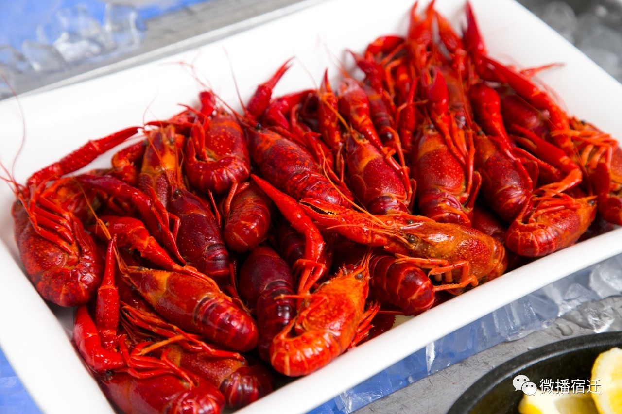 宿迁市区最好吃的小龙虾,江苏省宿迁哪里有小龙虾